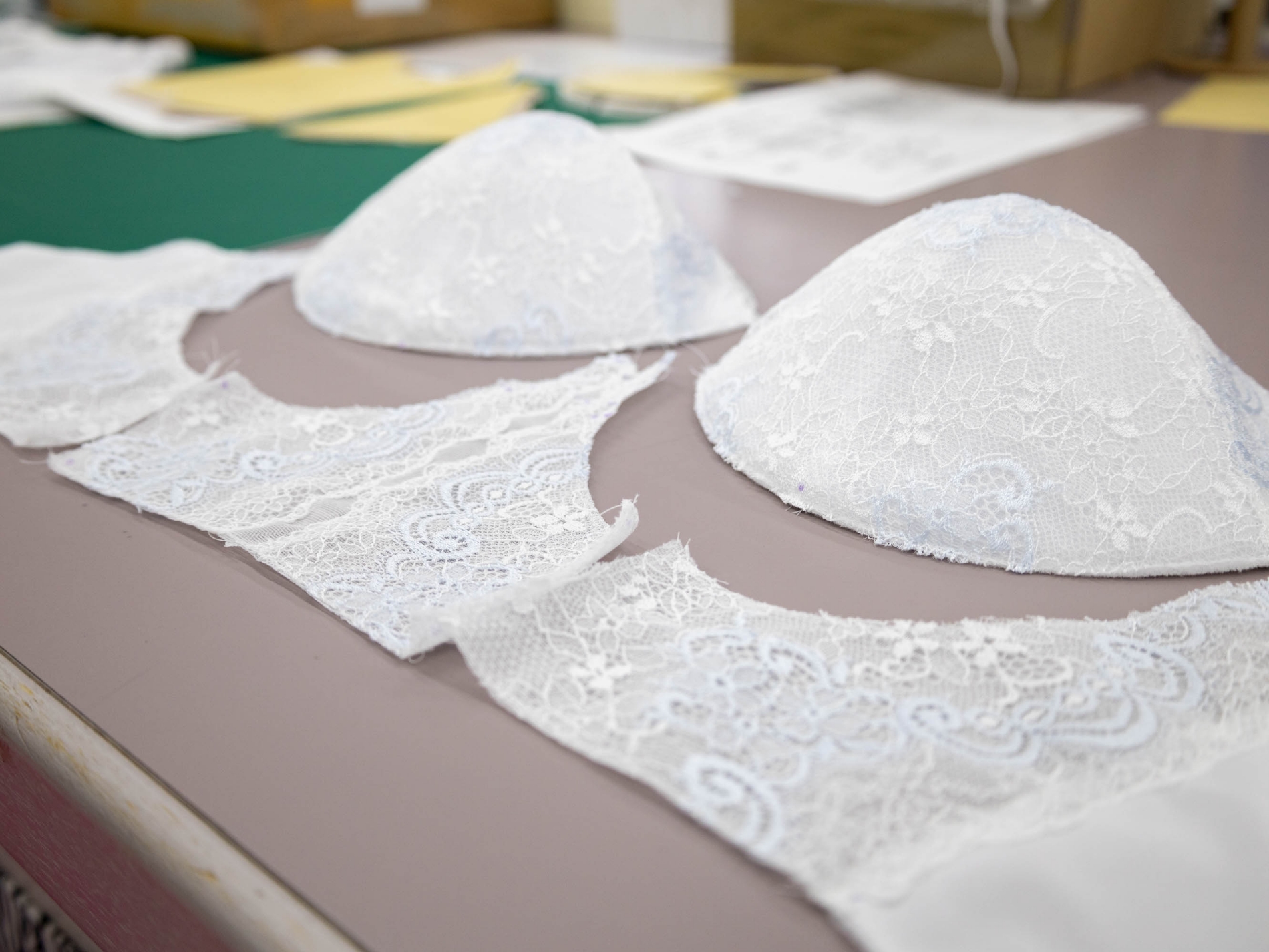 アンダーウェア業界を牽引